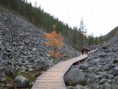 /album/kuvagalleria/img-5387-jpg/