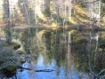 /album/kuvagalleria/img-5835-jpg/
