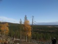 /album/kuvagalleria/img-5868-jpg/
